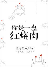 你是一盘红烧肉